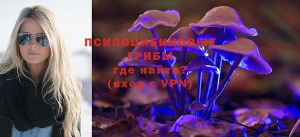 дурь Михайловка