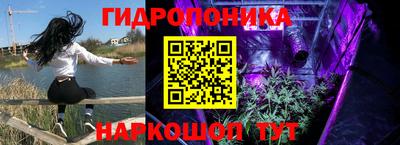 сатива Волжский