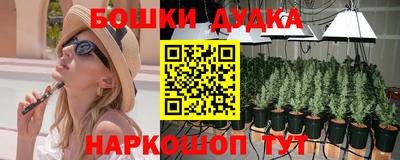сатива Волжский