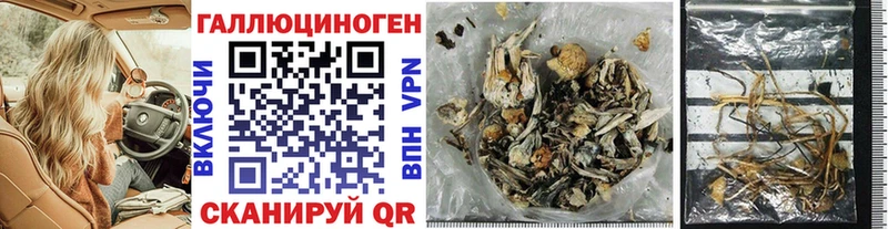 hydra зеркало  Кондопога  Псилоцибиновые грибы Psilocybe 