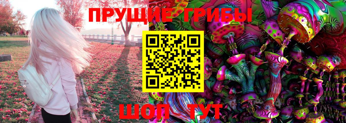 Псилоцибиновые грибы Cubensis Кондопога