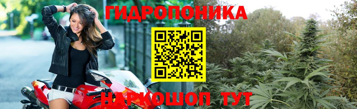 Кондопога  Каннабис семена  Марихуана тримм  Вход с VPN 